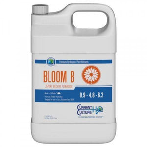 Current Cultured Solutions - Bloom B Quart