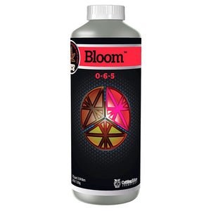 Cutting Edge Solutions - Bloom