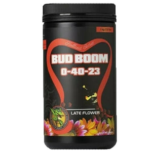 Holland's Secret - Bud Boom