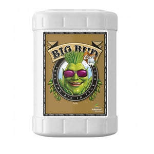 Advanced Nutrients - Big Bud Coco
