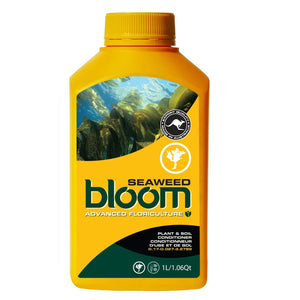 Bloom Yellow Bottle - Seaweed 1L
